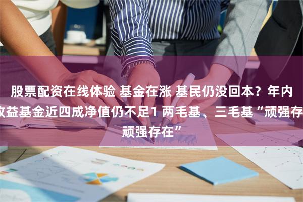 股票配资在线体验 基金在涨 基民仍没回本？年内正收益基金近四成净值仍不足1 两毛基、三毛基“顽强存在”