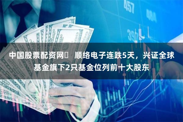 中国股票配资网	 顺络电子连跌5天，兴证全球基金旗下2只基金位列前十大股东