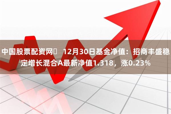 中国股票配资网	 12月30日基金净值：招商丰盛稳定增长混合A最新净值1.318，涨0.23%