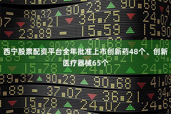 西宁股票配资平台全年批准上市创新药48个、创新医疗器械65个
