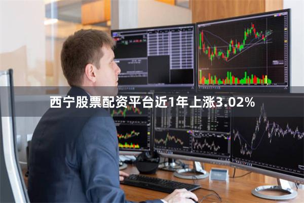 西宁股票配资平台近1年上涨3.02%