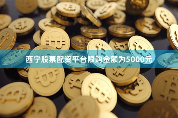 西宁股票配资平台限购金额为5000元