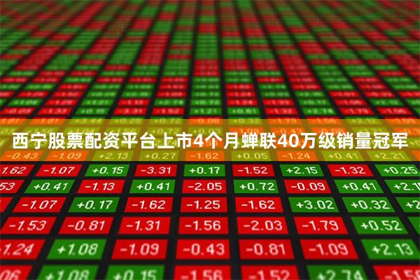 西宁股票配资平台上市4个月蝉联40万级销量冠军