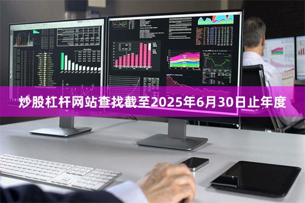 炒股杠杆网站查找截至2025年6月30日止年度