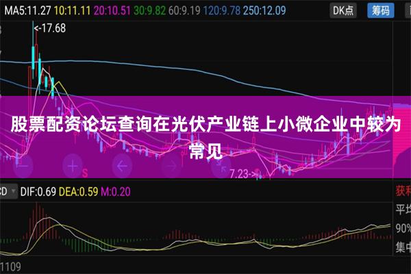 股票配资论坛查询在光伏产业链上小微企业中较为常见
