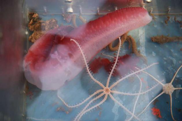 星空·综合(中国)体育网站