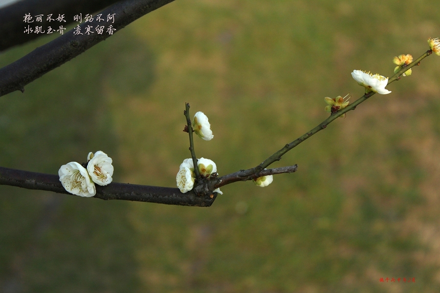 星空·综合(体育中国)
