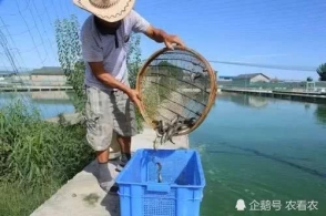 《假如王子睡着了》先导预告来袭 陈柏霖另类告白“俘虏”林允“星空·综合(中国)体育网站”(图2) 星空·综合(体育中国)