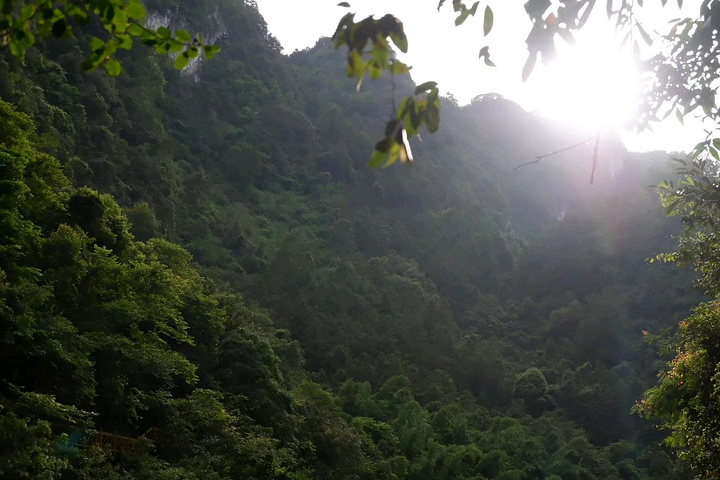 星空综合股份(中国)