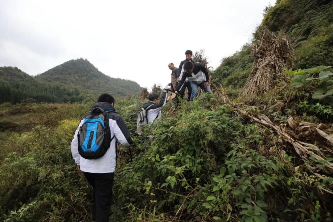 再次反制:雃博在欧洲向瑞思迈(ResMed)启动专利反制行动‘星空·综合(中国)体育网站’(图3) 星空·综合(体育中国)