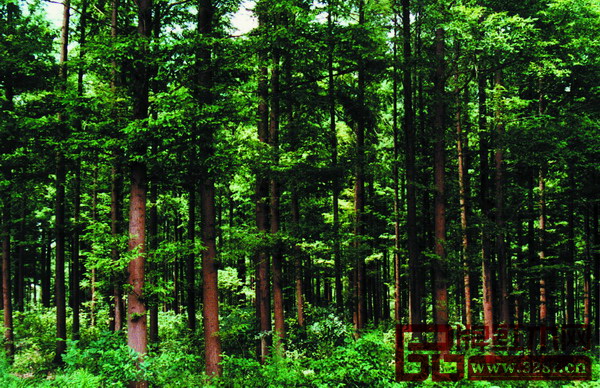 星空·综合(体育中国)_《高跟鞋先生》热映口碑飙升 有望成首部90后破亿作品(图2) 星空·综合(中国)体育网站