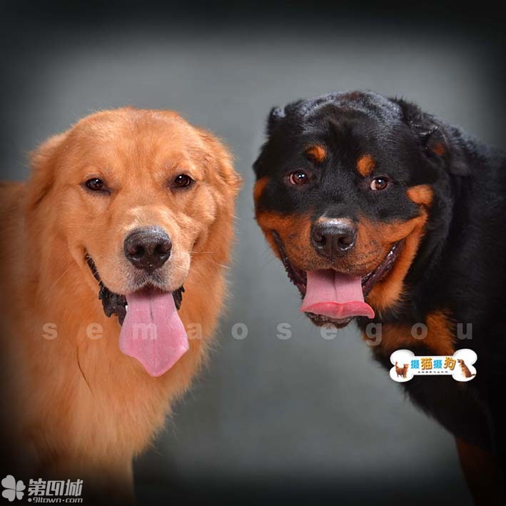 星空·综合(体育中国)_《高跟鞋先生》热映口碑飙升 有望成首部90后破亿作品(图3) 星空·综合(体育中国)