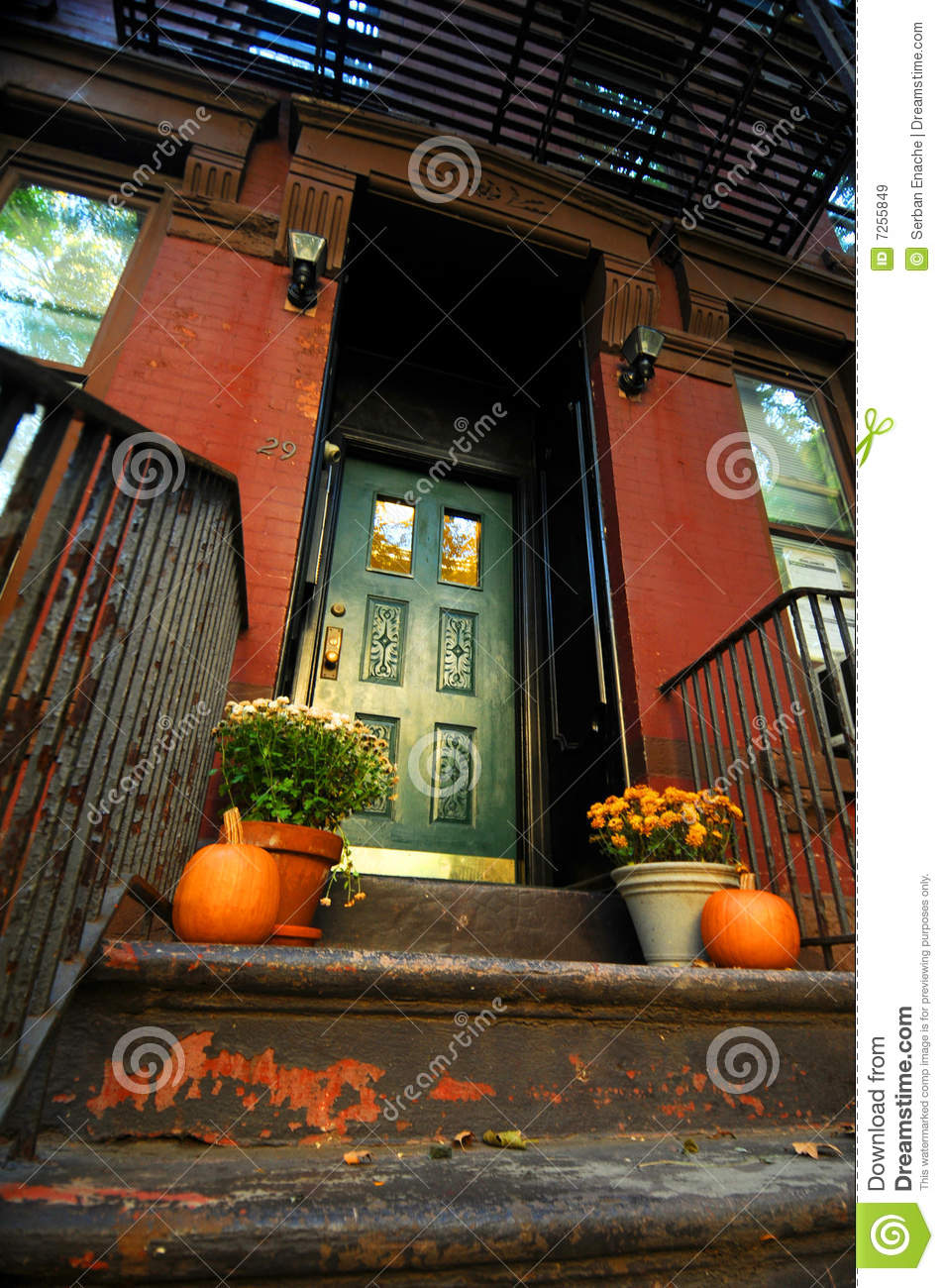 星空综合股份(中国)