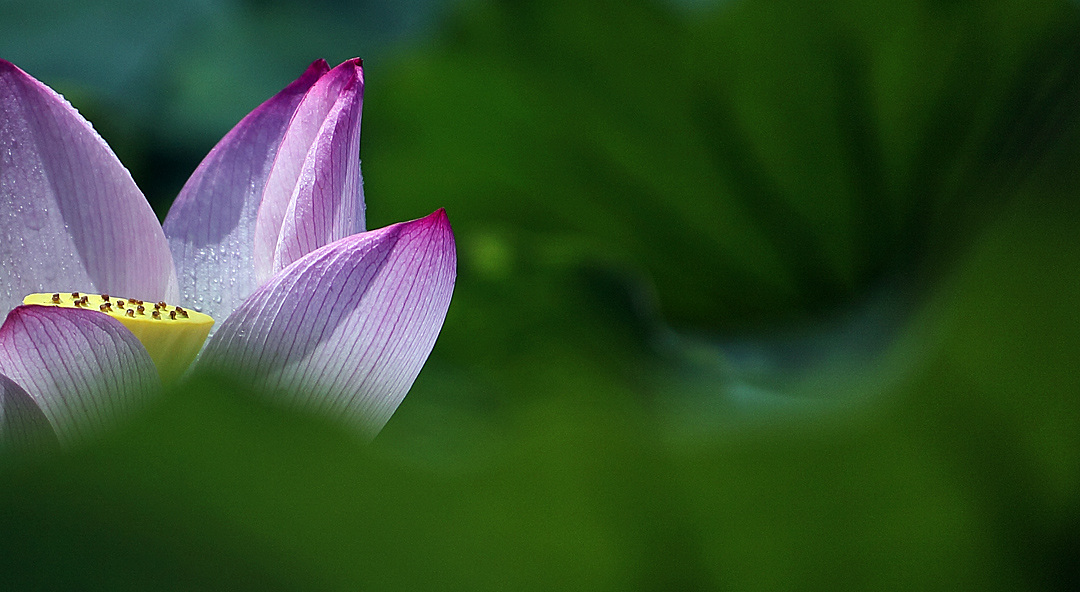 星空·综合(中国)体育网站