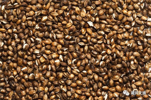 2021年高考作文预测:体育“加分热” 需“冷思考”:星空·综合(中国)体育网站(图2) 星空综合股份(中国)