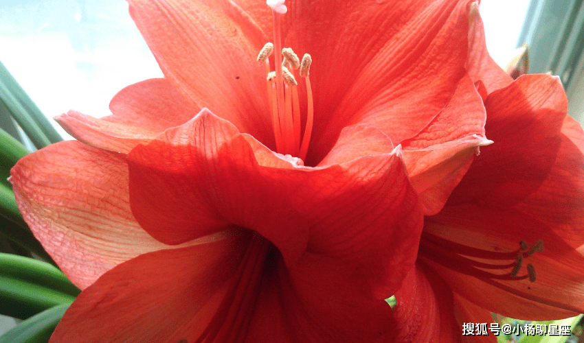 星空综合股份(中国)|
年龄变老 此外女人早已人老珠黄 她们却越来越有魅力的三大生肖(图4) 星空综合股份(中国)|
年龄变老 此外女人早已人老珠黄 她们却越来越有魅力的三大生肖(图4)