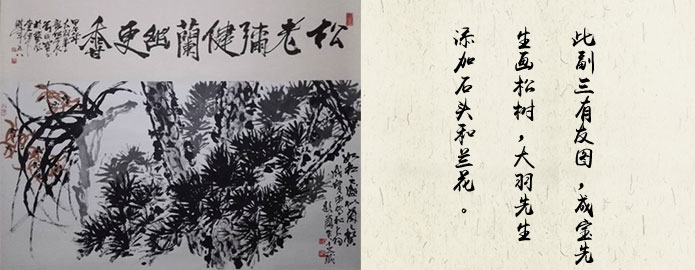 星空综合股份(中国)