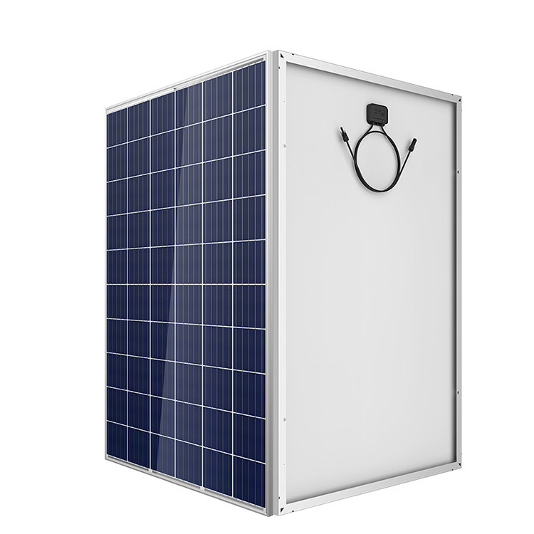 星空综合股份(中国)