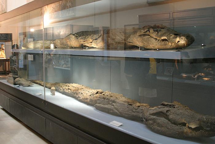 星空·综合(中国)体育网站