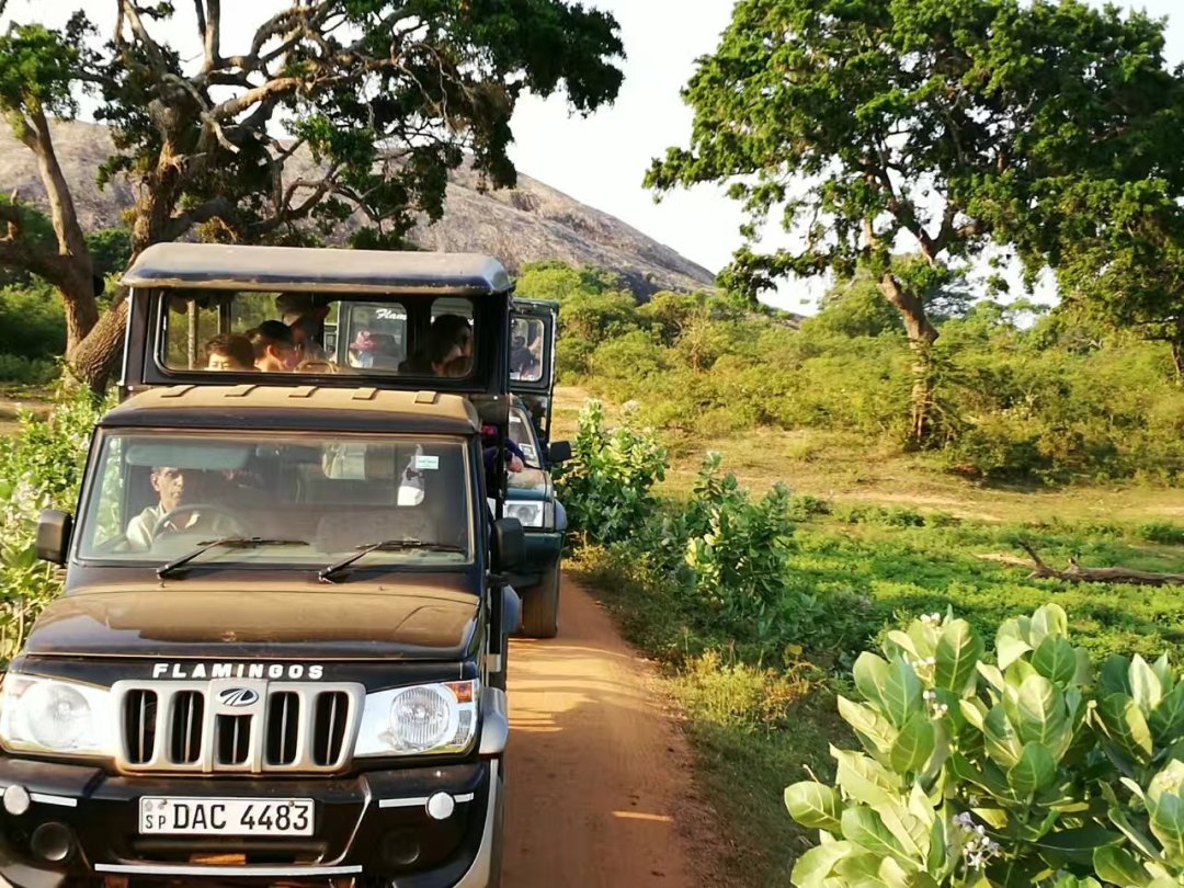 星空综合股份(中国)
