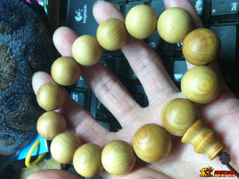 星空综合股份(中国)