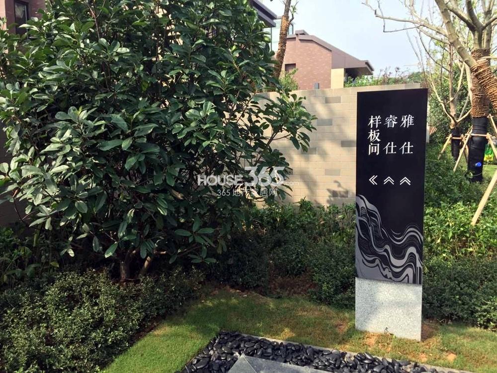 星空·综合(体育中国)