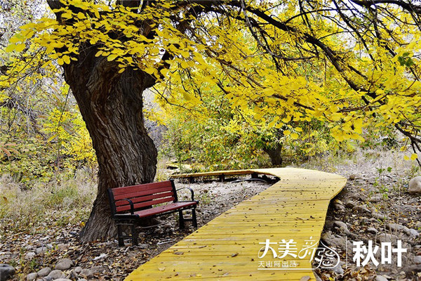 星空·综合(体育中国)