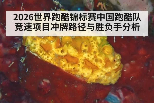 2026世界跑酷锦标赛中国跑酷队竞速项目冲牌路径与胜负手分析